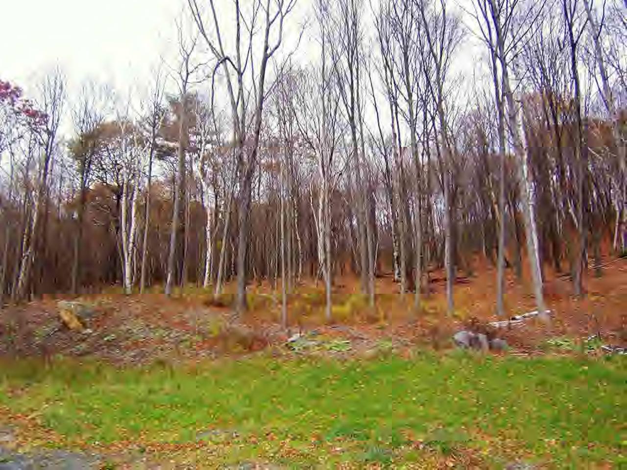 20 Oxbow Road Egremont, MA 01230 - Photo 7 of 18 Additional Photo