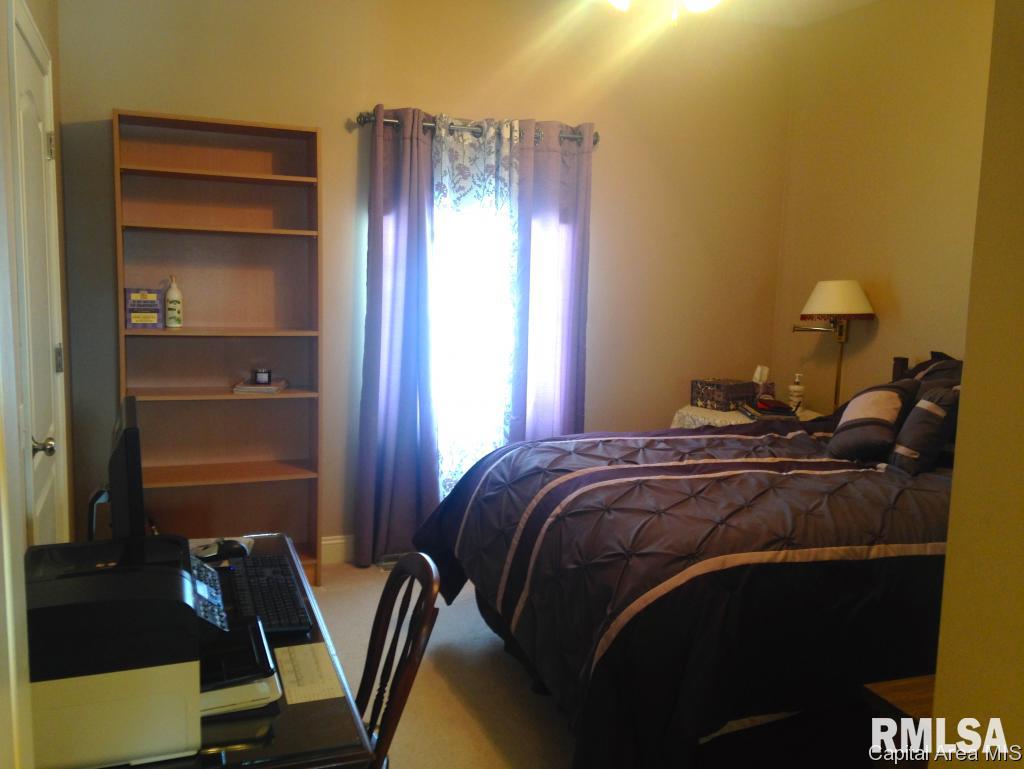 19560 Pinecrest Road Petersburg, IL 62675 - Photo 19 of 24 Gallery Image 19