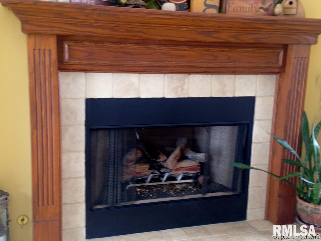 19560 Pinecrest Road Petersburg, IL 62675 - Photo 10 of 24 Gallery Image 10