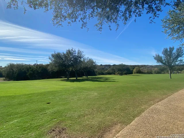 a view of a yard with a tree