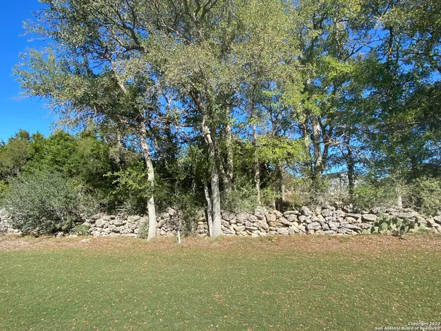 a view of a city with lush green forest