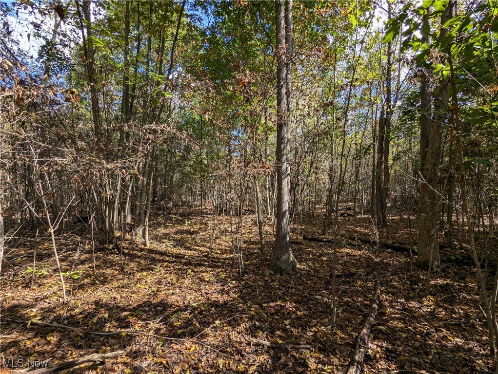 Shafer Road Northwest Warren, OH 44481 - Photo 11 of 21 Gallery Image 11