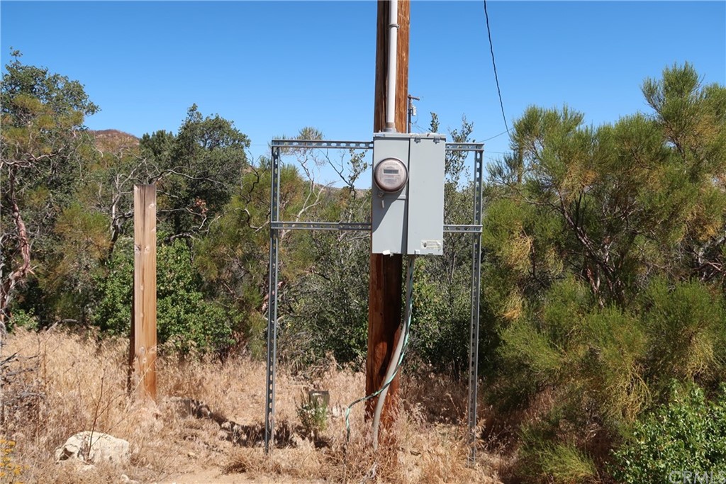 a view of a garden with a tree