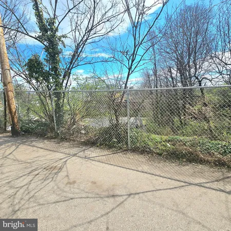 a view of backyard and tree