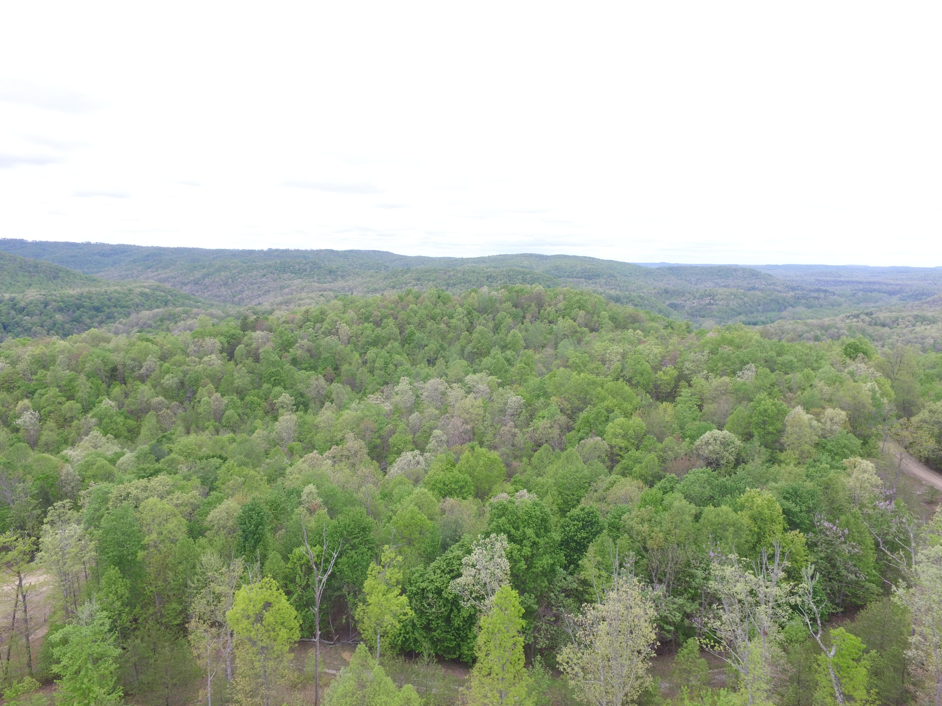 1300 Hurricane Road Huntsville, TN 37756 - Photo 21 of 24 DJI_0264