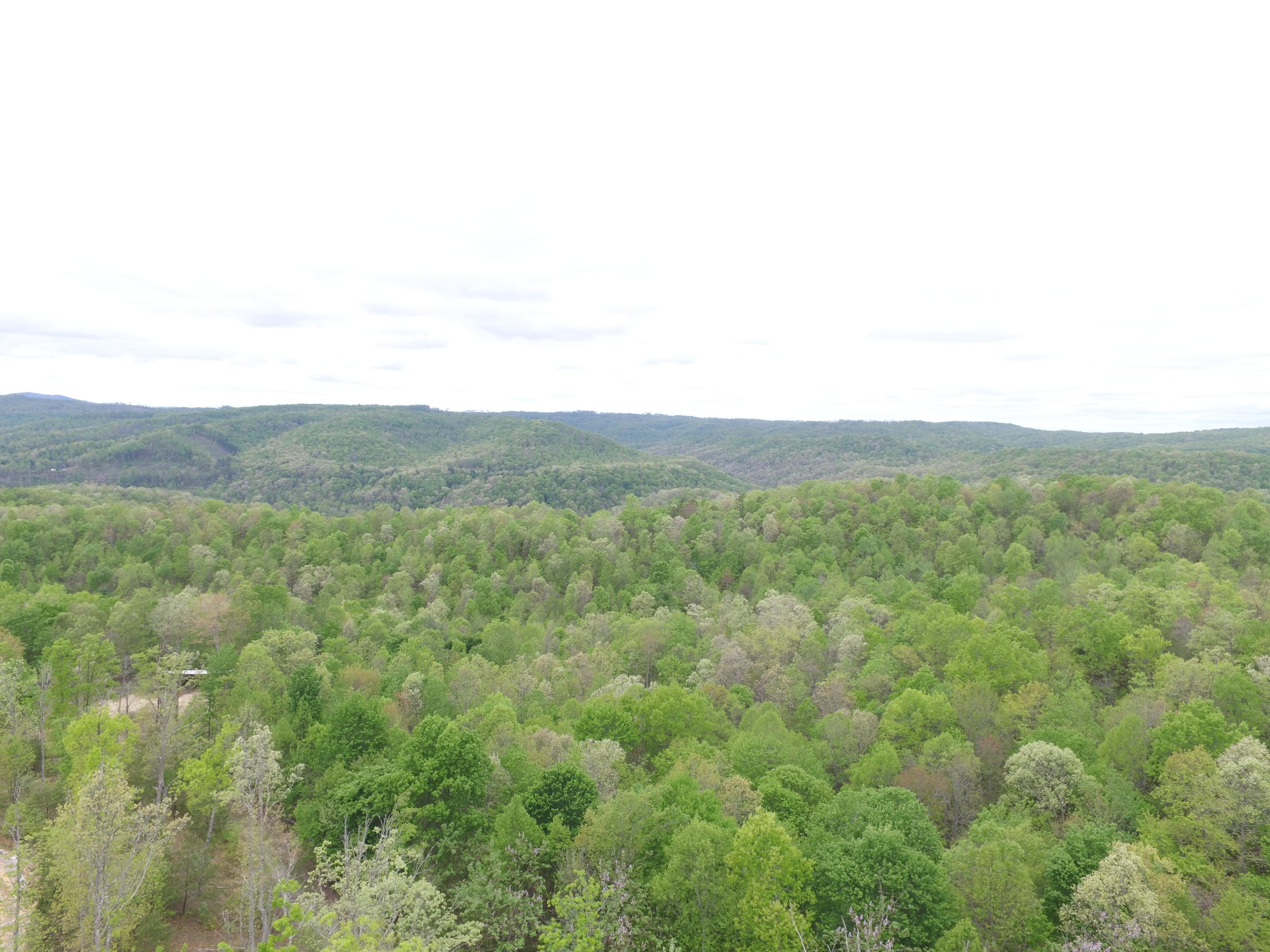 1300 Hurricane Road Huntsville, TN 37756 - Photo 22 of 24 DJI_0268