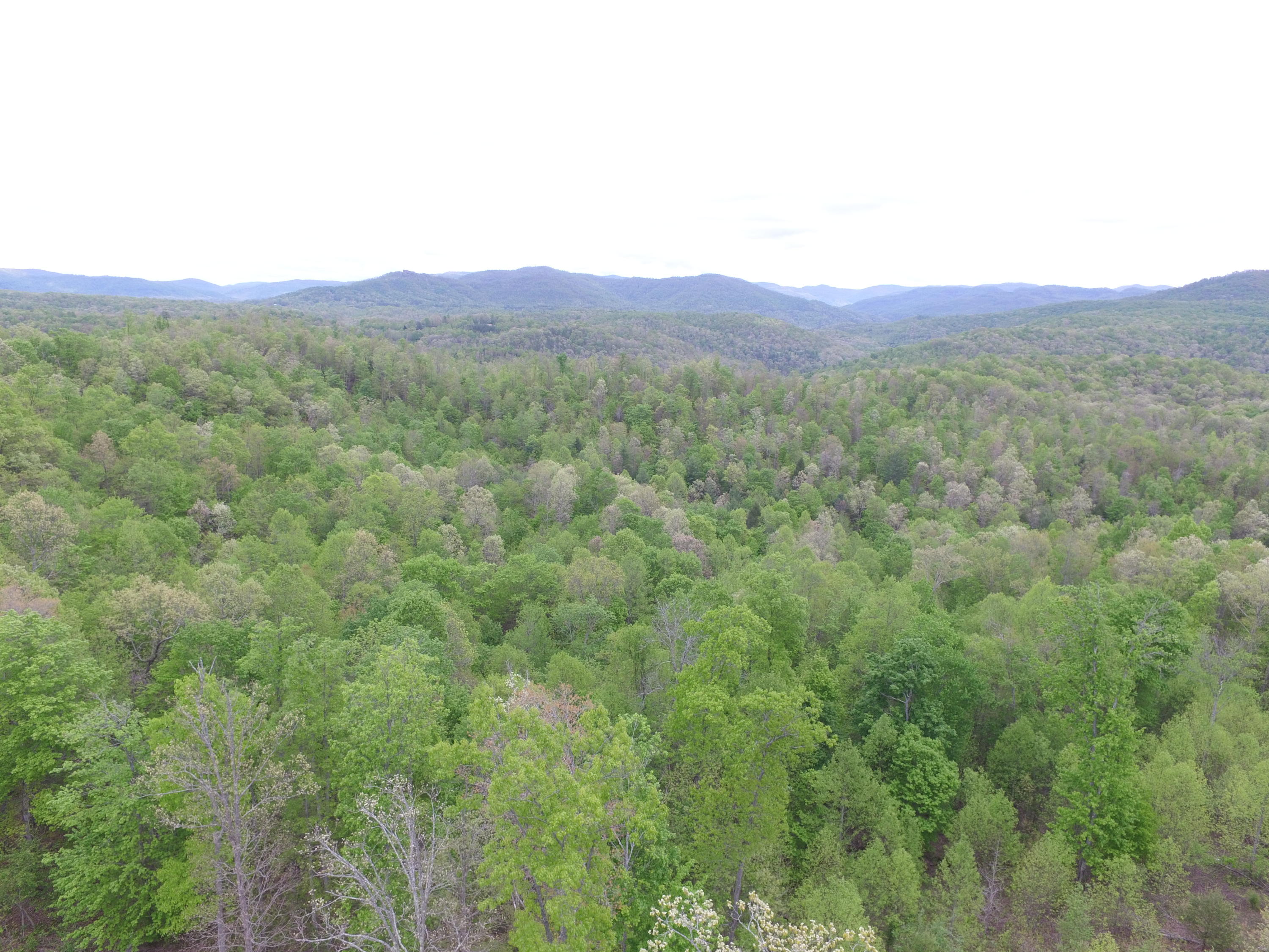 1300 Hurricane Road Huntsville, TN 37756 - Photo 23 of 24 DJI_0274