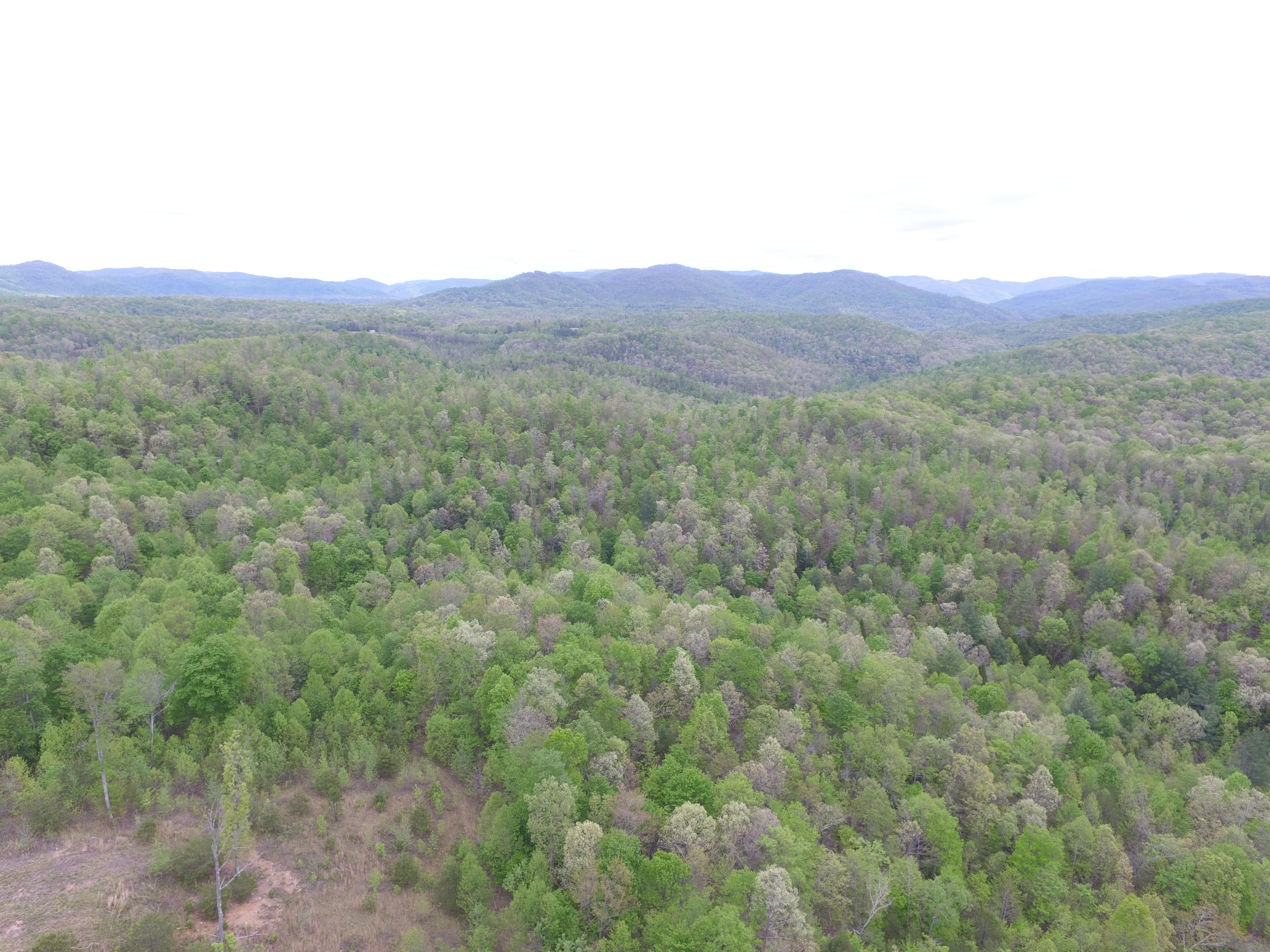 1300 Hurricane Road Huntsville, TN 37756 - Photo 24 of 24 DJI_0282