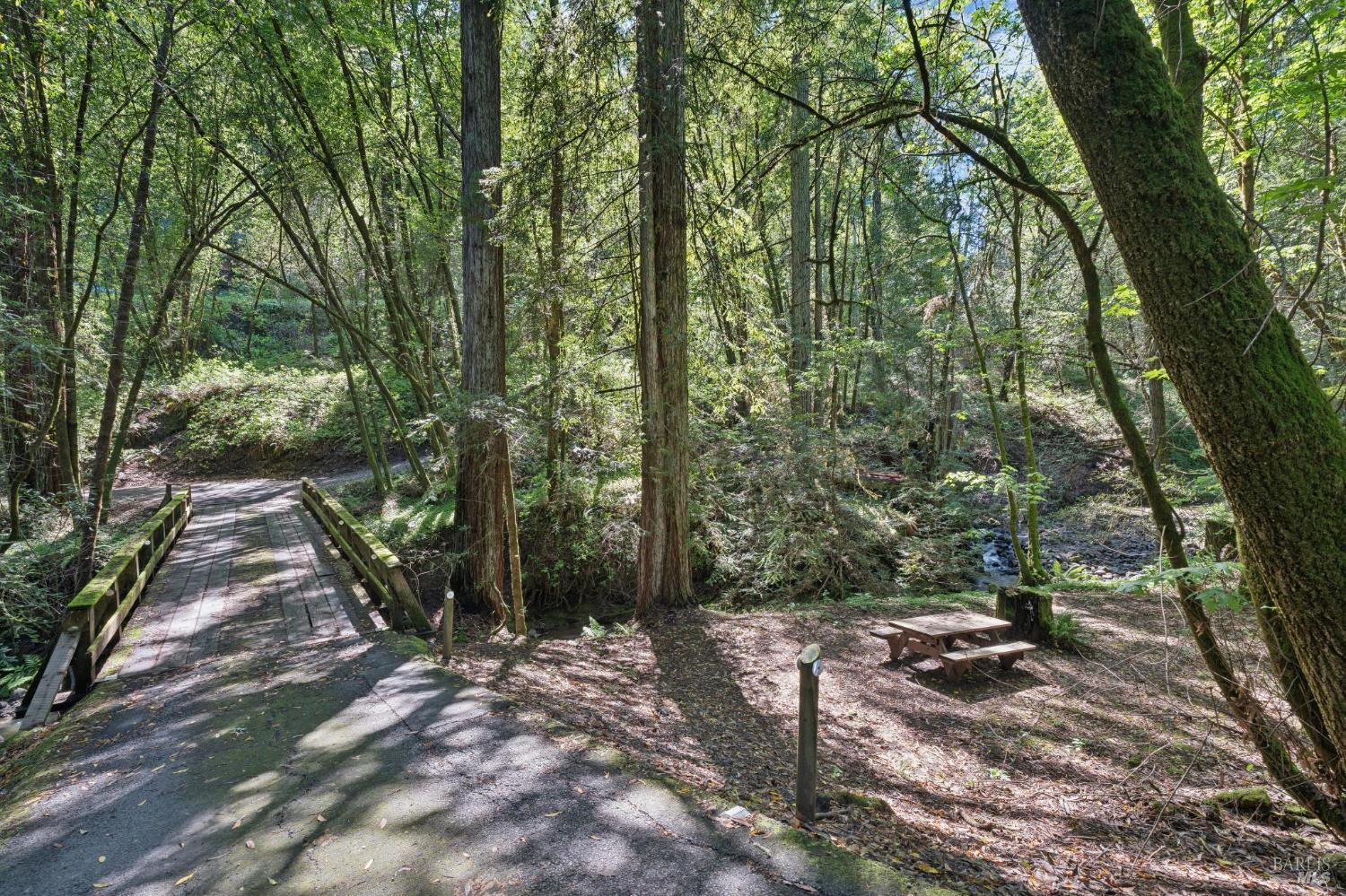 11910 Graton Road Sebastopol, CA 95472 - Photo 12 of 77