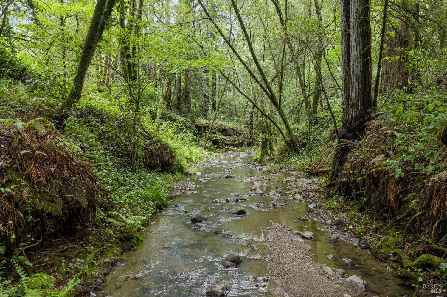 11910 Graton Road Sebastopol, CA 95472 - Photo 2 of 77