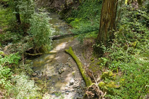 $1,900,000 | 11910 Graton Road, Sebastopol, CA 95472