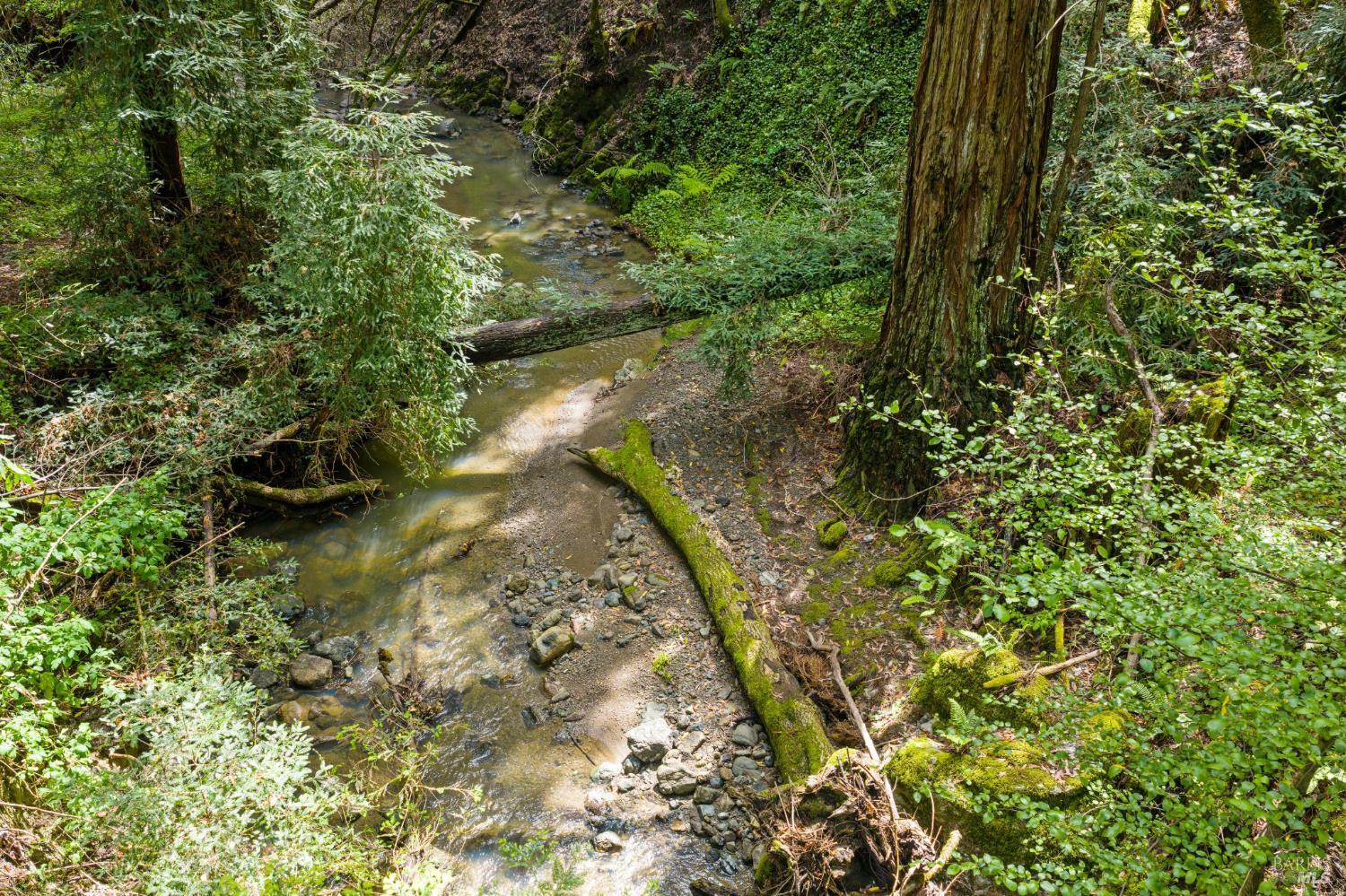 11910 Graton Road Sebastopol, CA 95472 - Photo 6 of 77