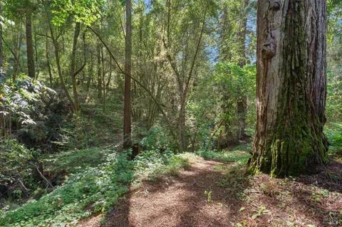$1,900,000 | 11910 Graton Road, Sebastopol, CA 95472