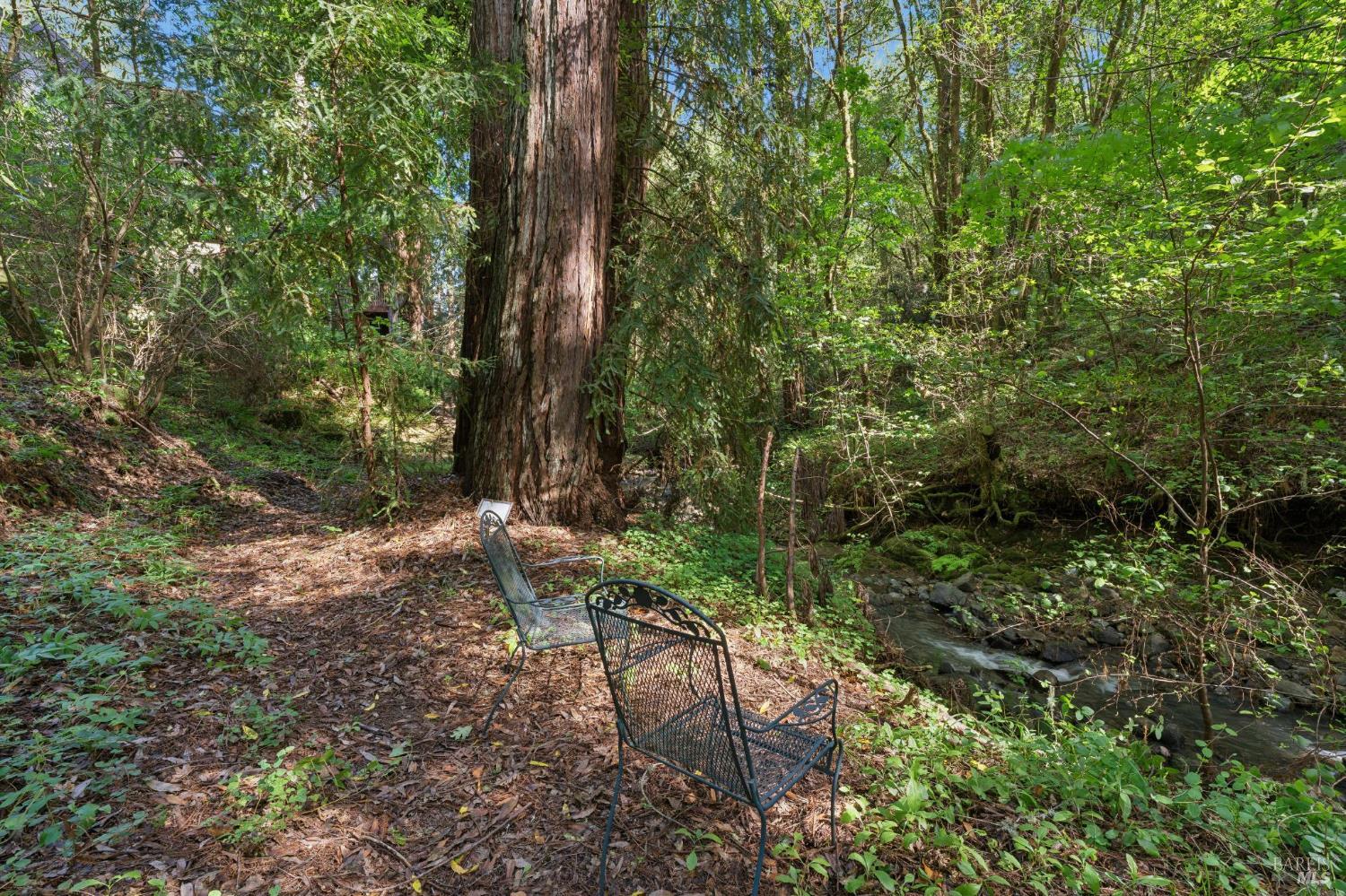 11910 Graton Road Sebastopol, CA 95472 - Photo 65 of 74