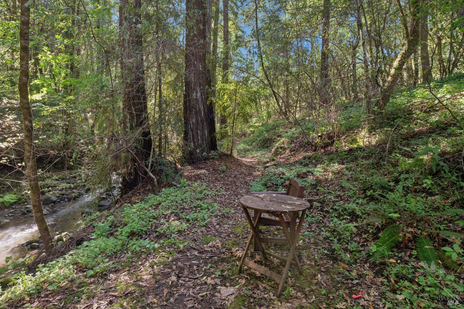 11910 Graton Road Sebastopol, CA 95472 - Photo 66 of 77