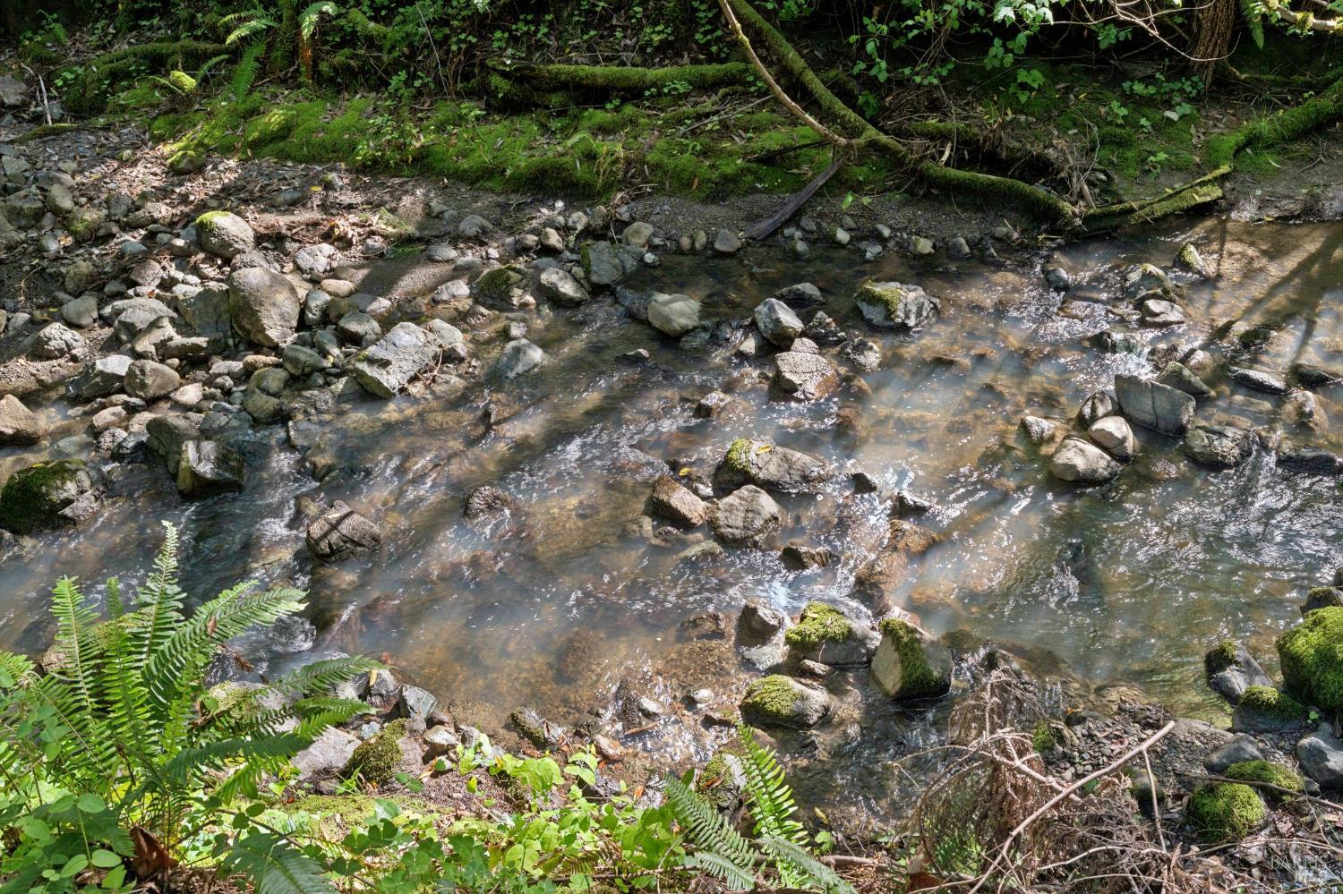 11910 Graton Road Sebastopol, CA 95472 - Photo 69 of 77