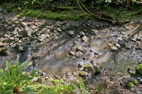 $1,900,000 | 11910 Graton Road, Sebastopol, CA 95472