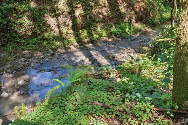 $1,900,000 | 11910 Graton Road, Sebastopol, CA 95472