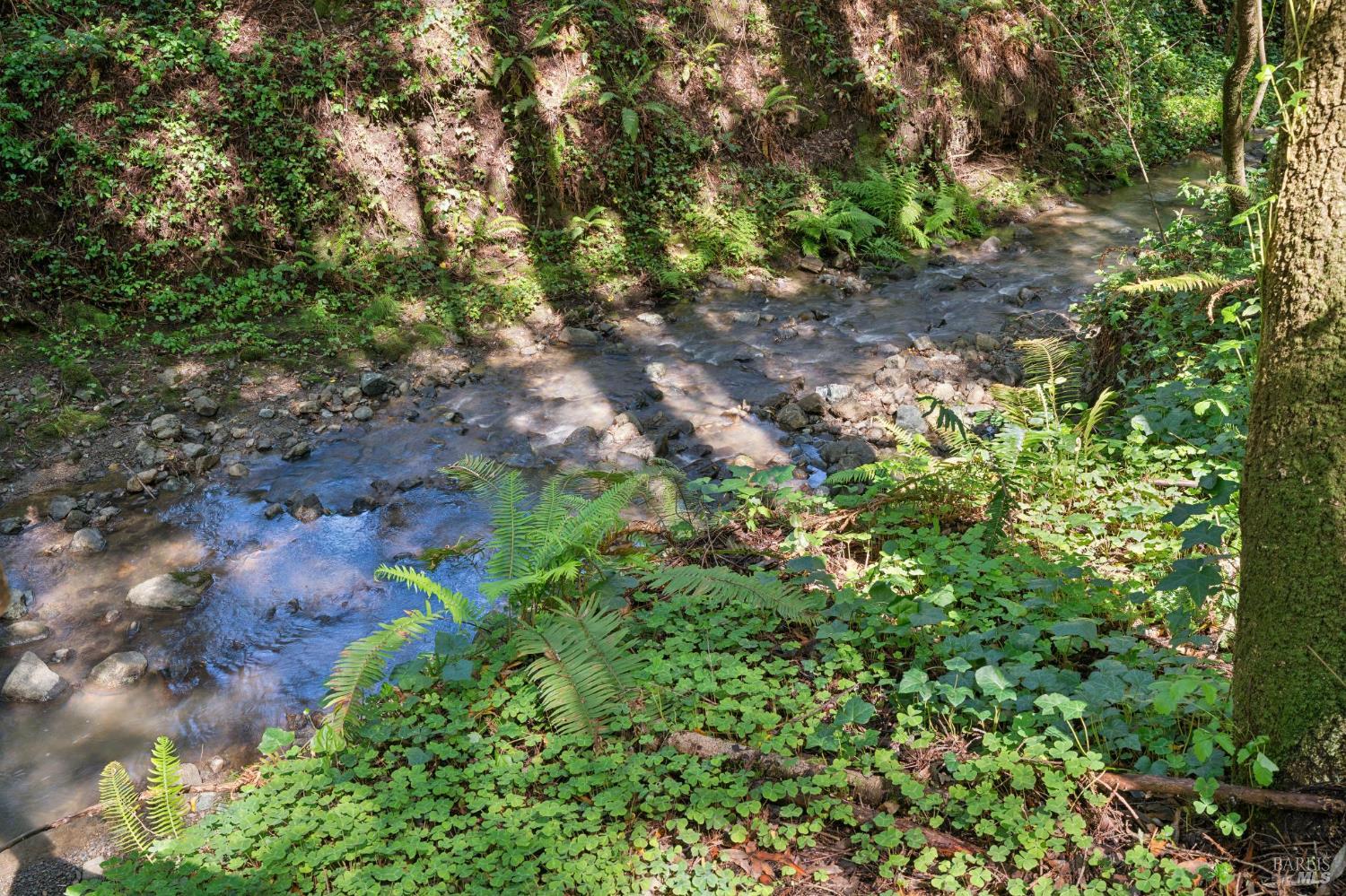 11910 Graton Road Sebastopol, CA 95472 - Photo 9 of 77