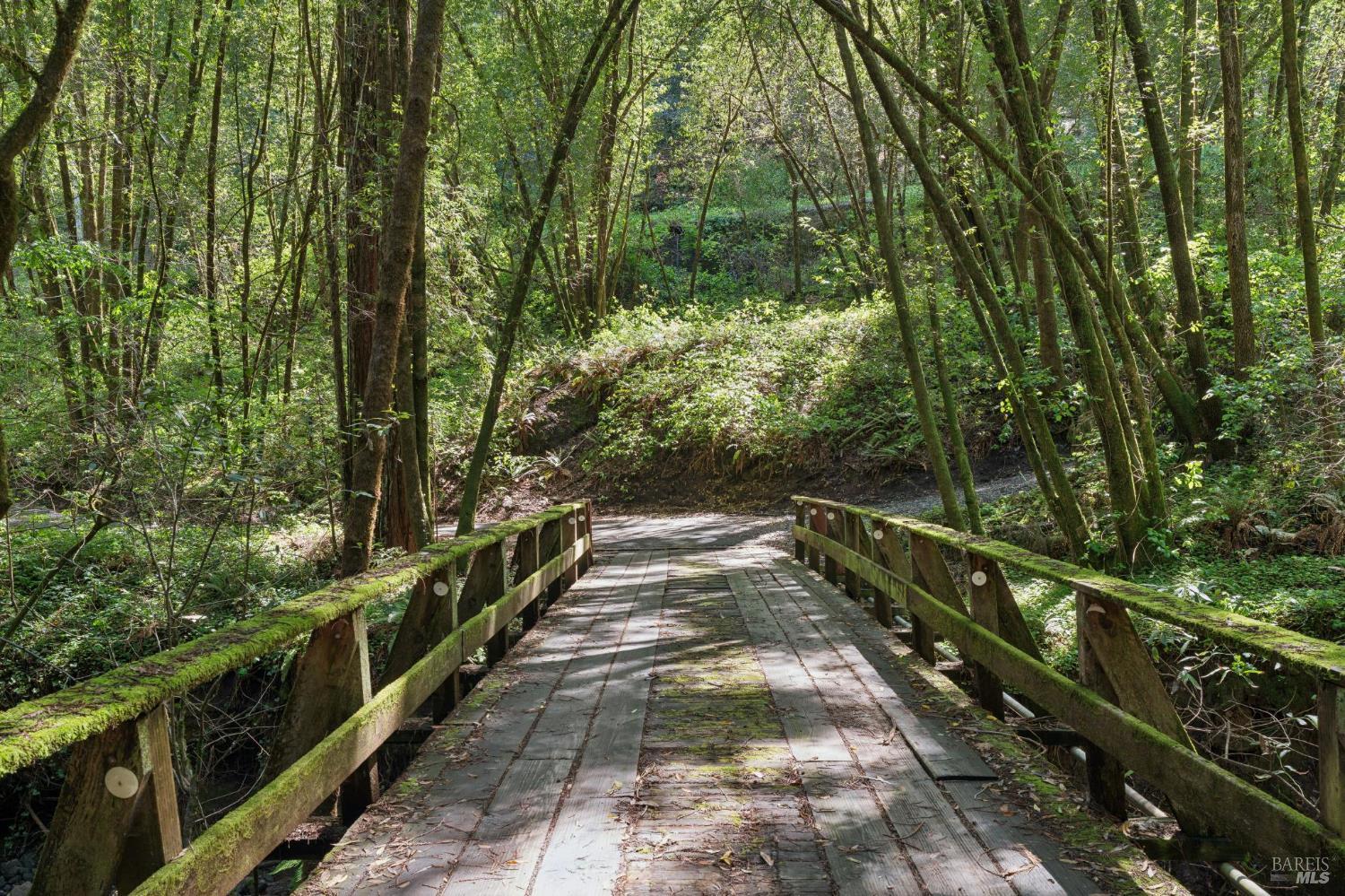 11910 Graton Road Sebastopol, CA 95472 - Photo 10 of 77