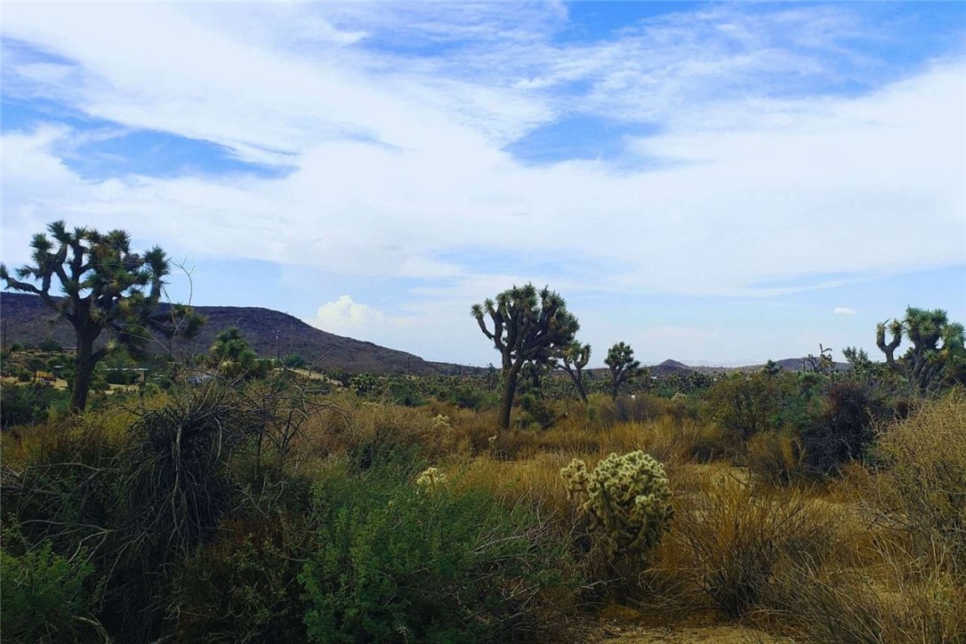56200 Skyline Ranch Road Yucca Valley, CA 92284 - Photo 5 of 12 a view of a lake in middle of the town