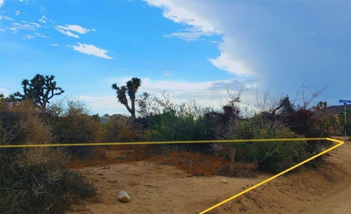 56200 Skyline Ranch Road Yucca Valley, CA 92284 - Photo 7 of 12 a view of a lake