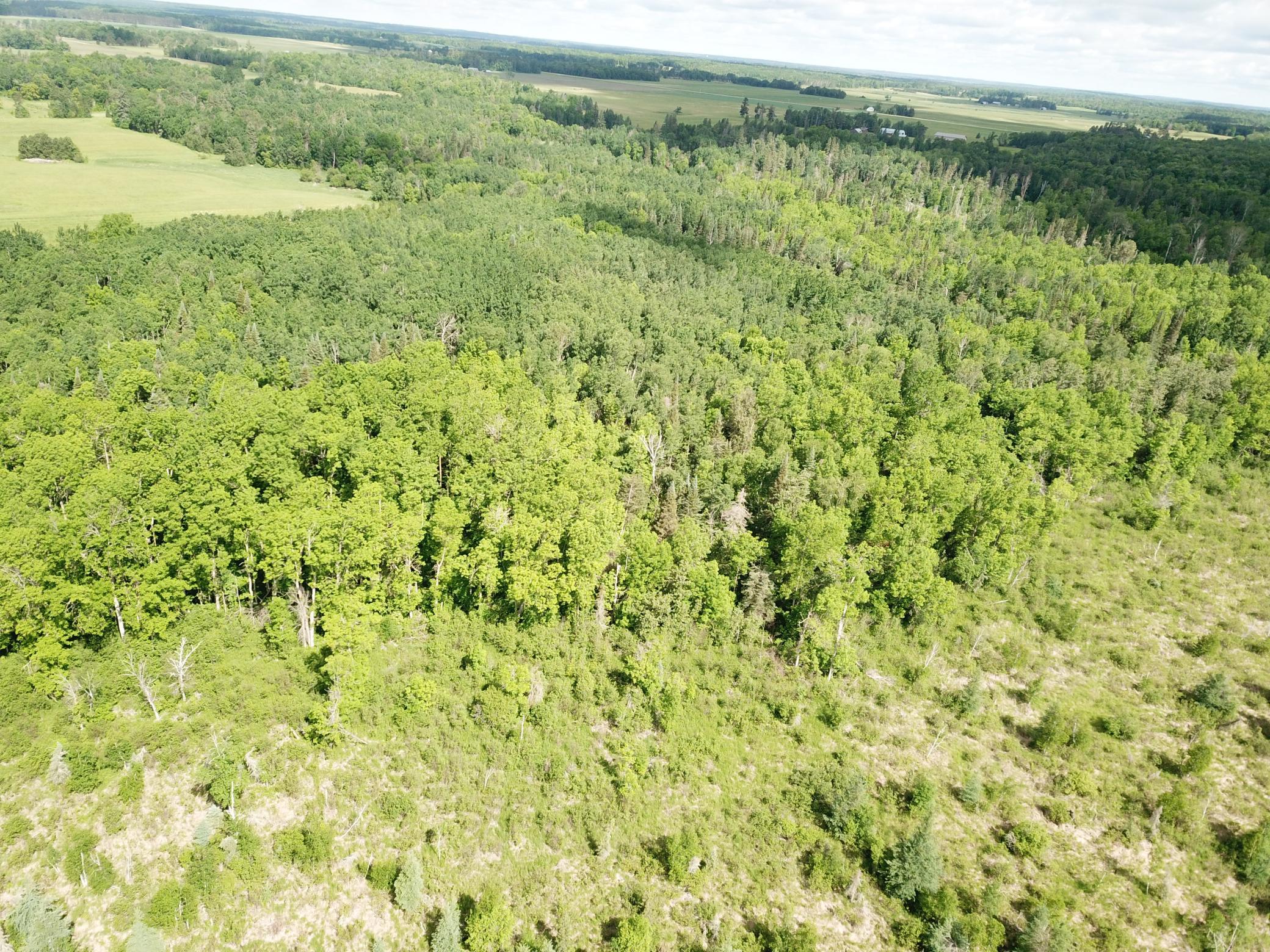 Tbd1 Mud Lake Road Bagley, MN 56621 - Photo 14 of 31