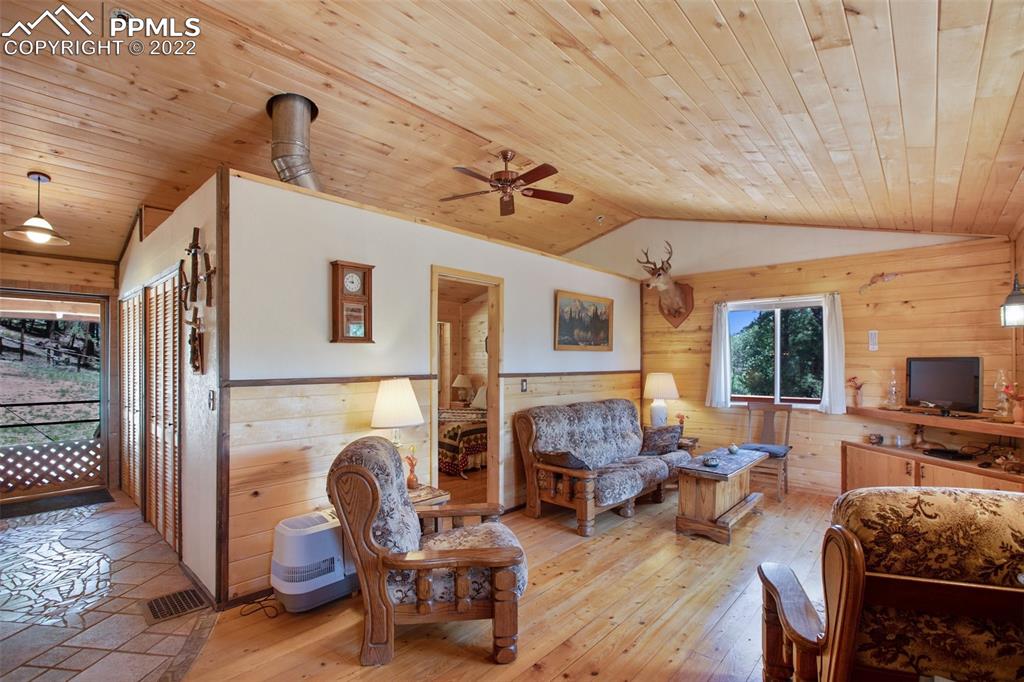 7199 Cedar Mountain Road Divide, CO 80814 - Photo 11 of 34 a living room with furniture a fireplace and a flat screen tv