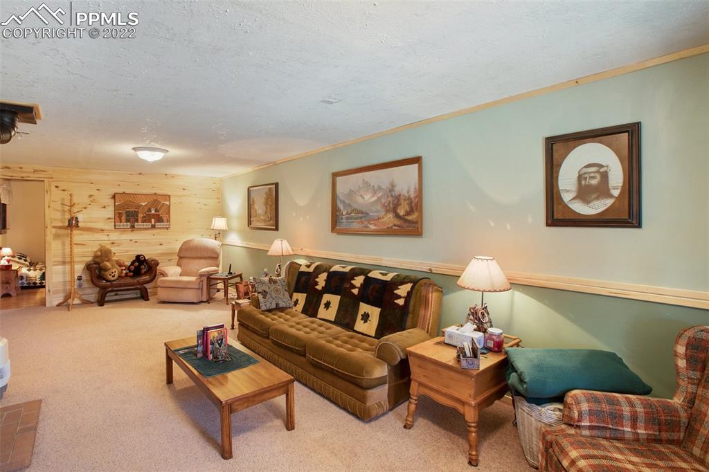 7199 Cedar Mountain Road Divide, CO 80814 - Photo 21 of 34 a living room with furniture and paintings on the wall