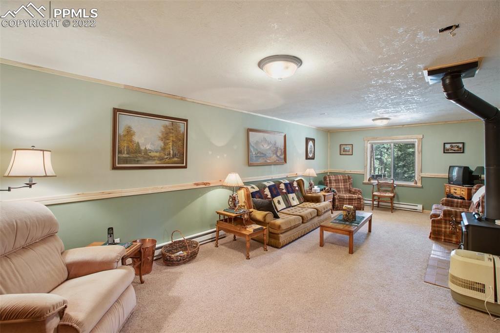 7199 Cedar Mountain Road Divide, CO 80814 - Photo 22 of 34 a living room with furniture and a window