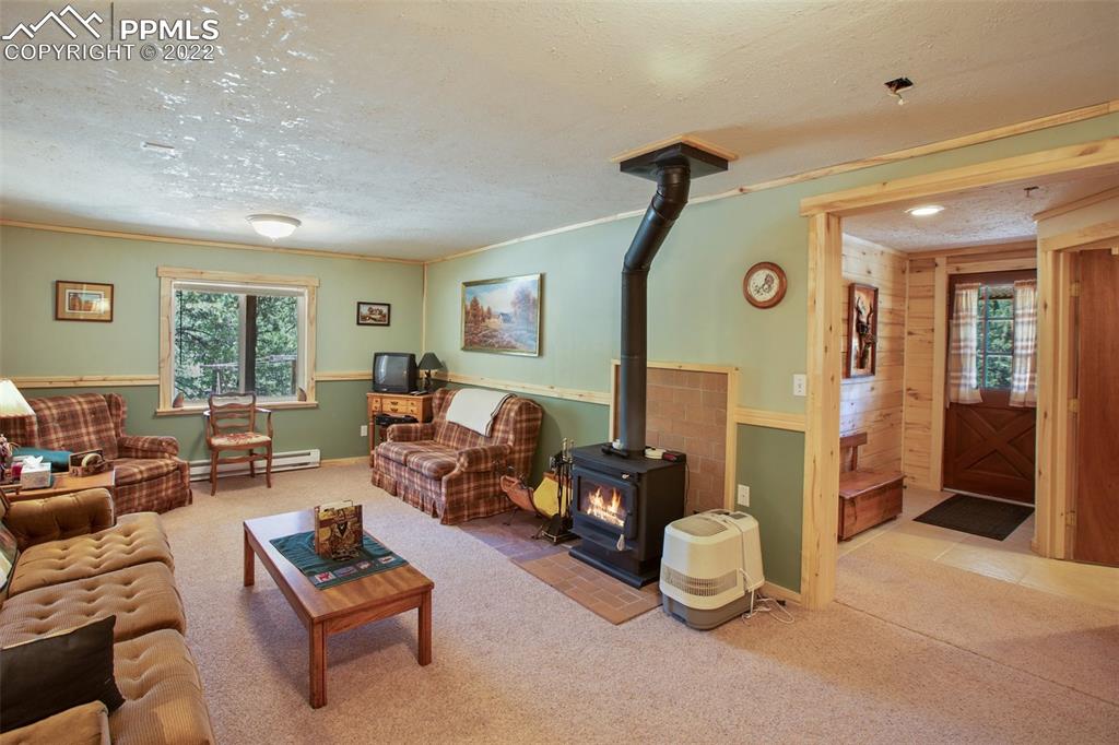7199 Cedar Mountain Road Divide, CO 80814 - Photo 23 of 34 a living room with furniture and a window