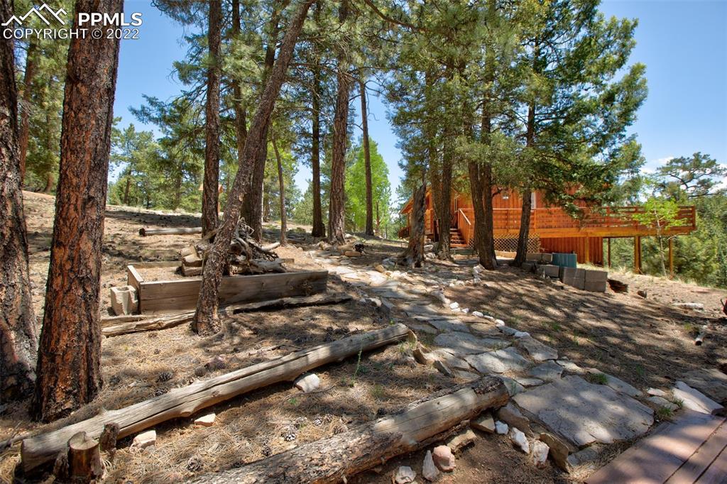7199 Cedar Mountain Road Divide, CO 80814 - Photo 28 of 34