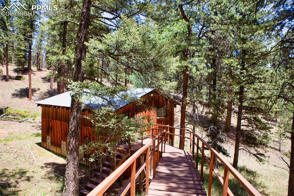 7199 Cedar Mountain Road Divide, CO 80814 - Photo 32 of 34