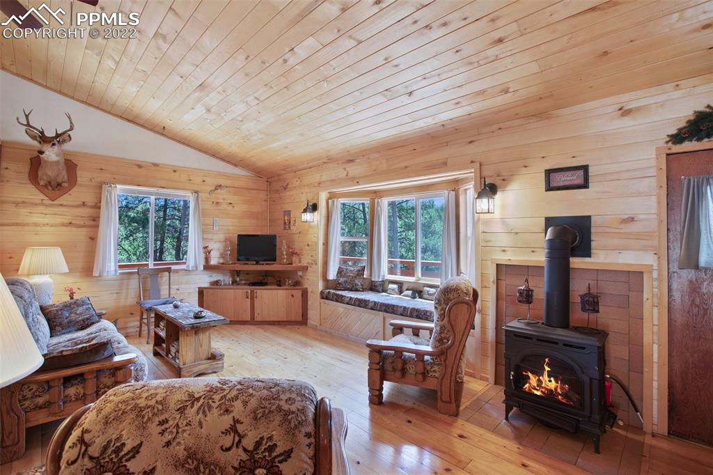 7199 Cedar Mountain Road Divide, CO 80814 - Photo 9 of 34 a living room with furniture and a fireplace