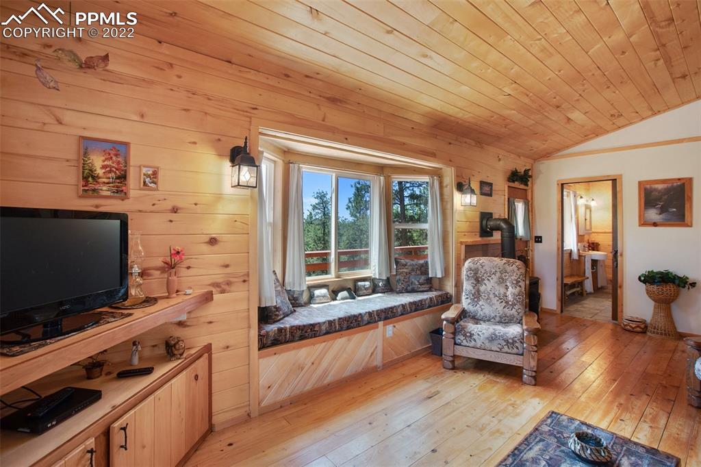 7199 Cedar Mountain Road Divide, CO 80814 - Photo 10 of 34 a living room with furniture and a flat screen tv