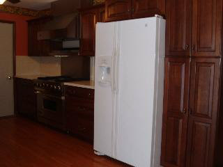 6295 Swiss Garden Road Temperance, MI 48182 - Photo 13 of 20 Kitchen
