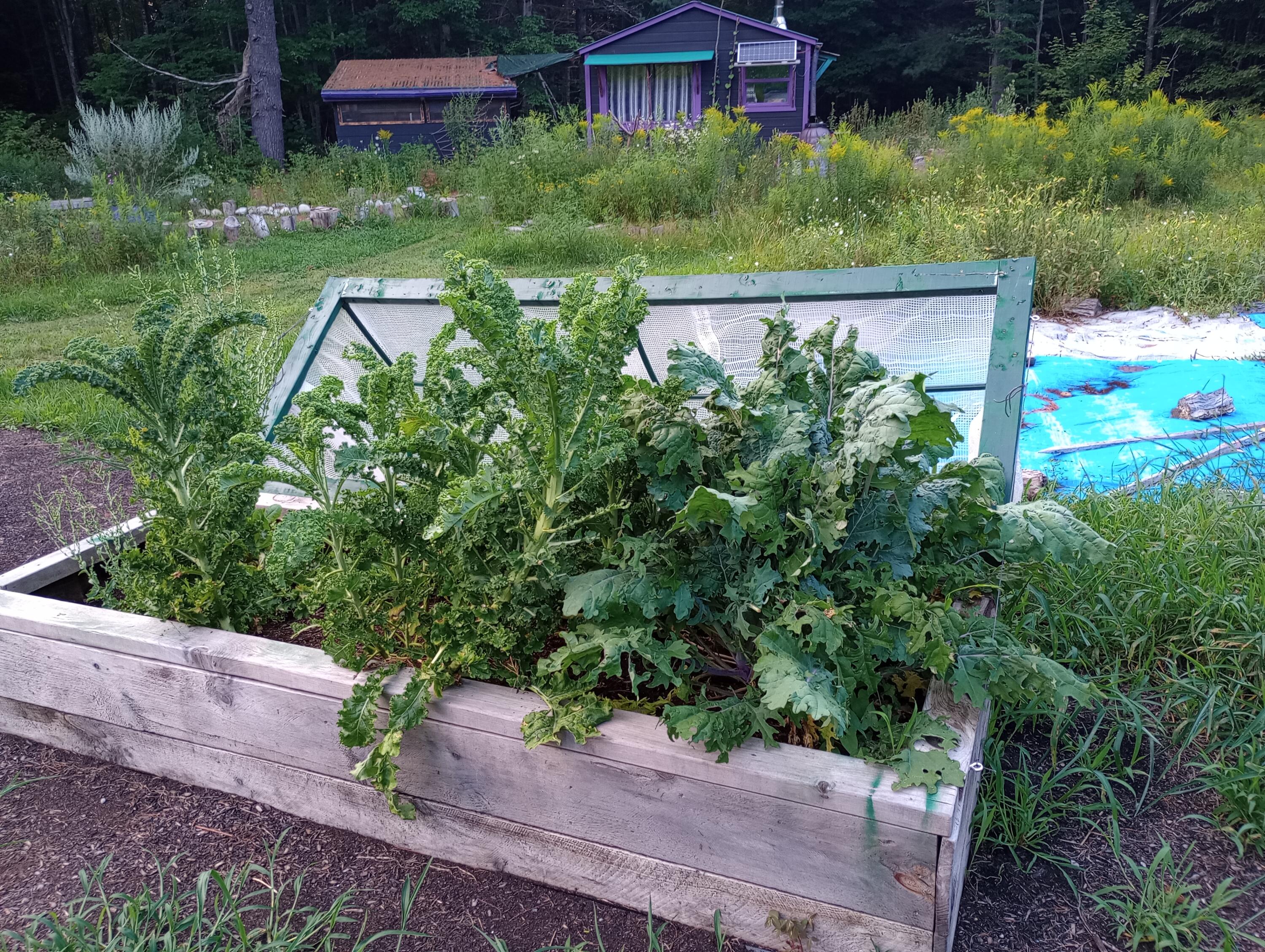 321 North Road Lee, ME 04455 - Photo 16 of 26 garden-1