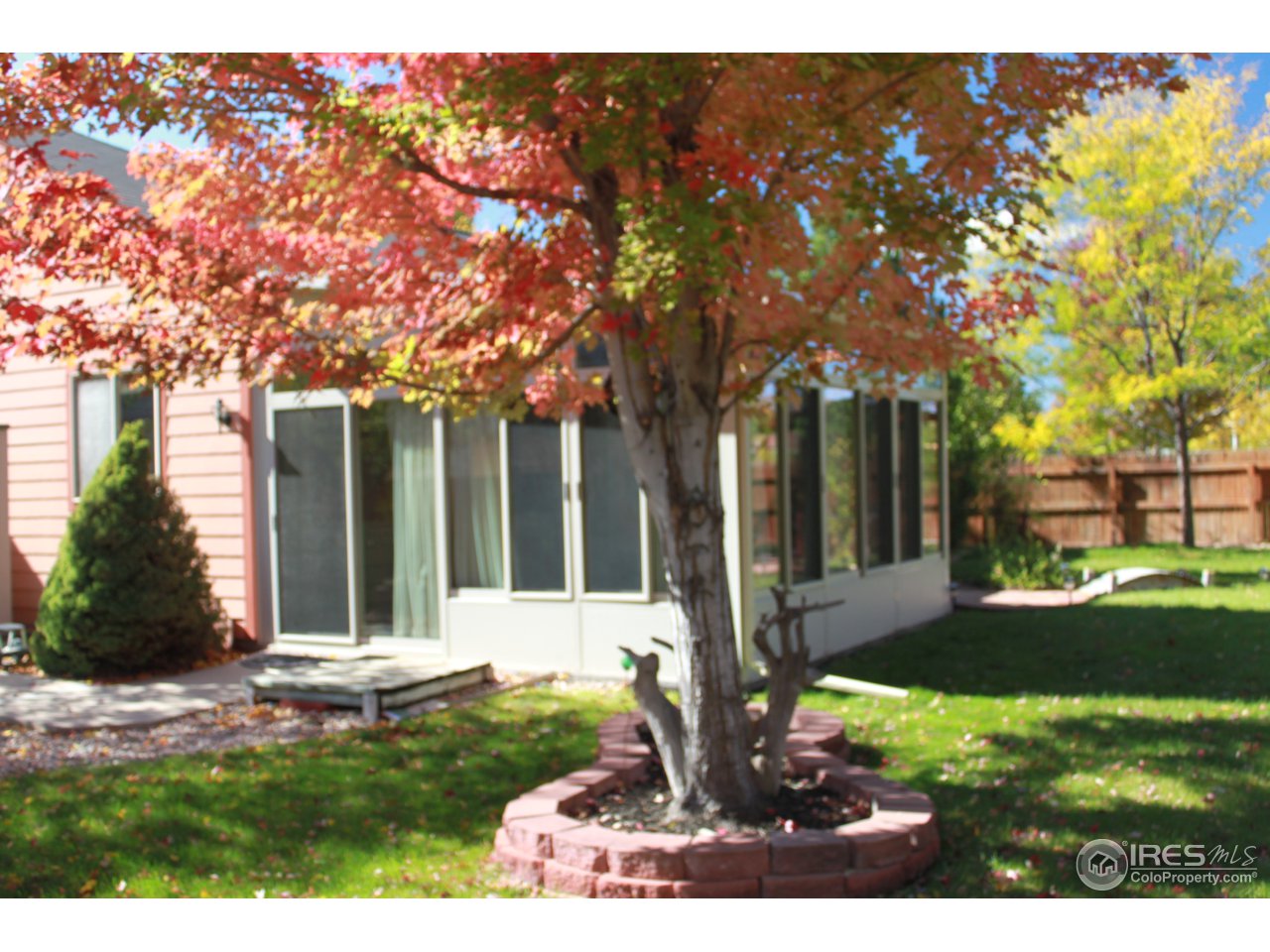 245 Sequoia Circle Windsor, CO 80550 - Photo 12 of 15 a view of a house with a small yard and plants