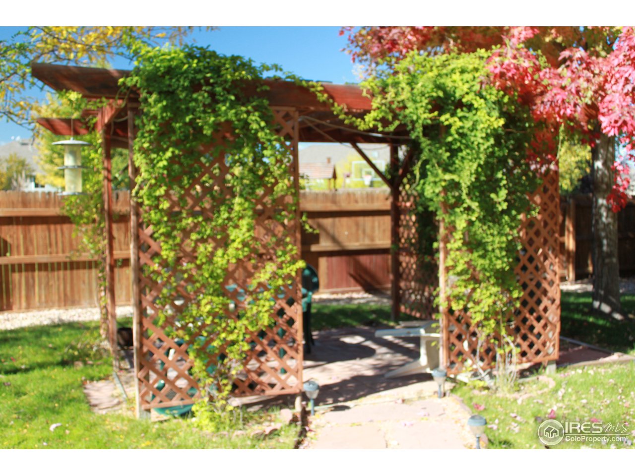 245 Sequoia Circle Windsor, CO 80550 - Photo 13 of 15 a view of outdoor space and garden