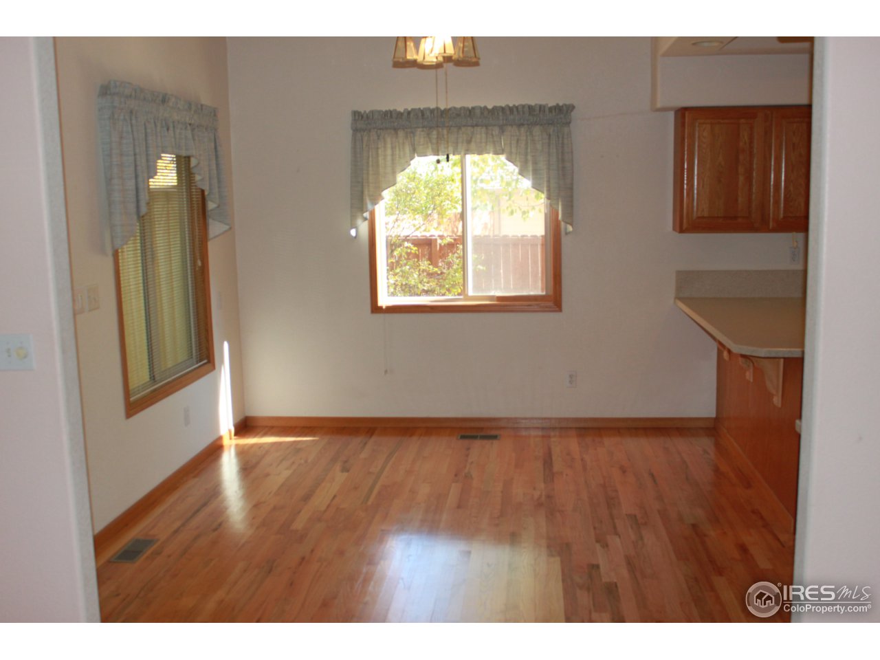 245 Sequoia Circle Windsor, CO 80550 - Photo 4 of 15 a view of an empty room with wooden floor and a window