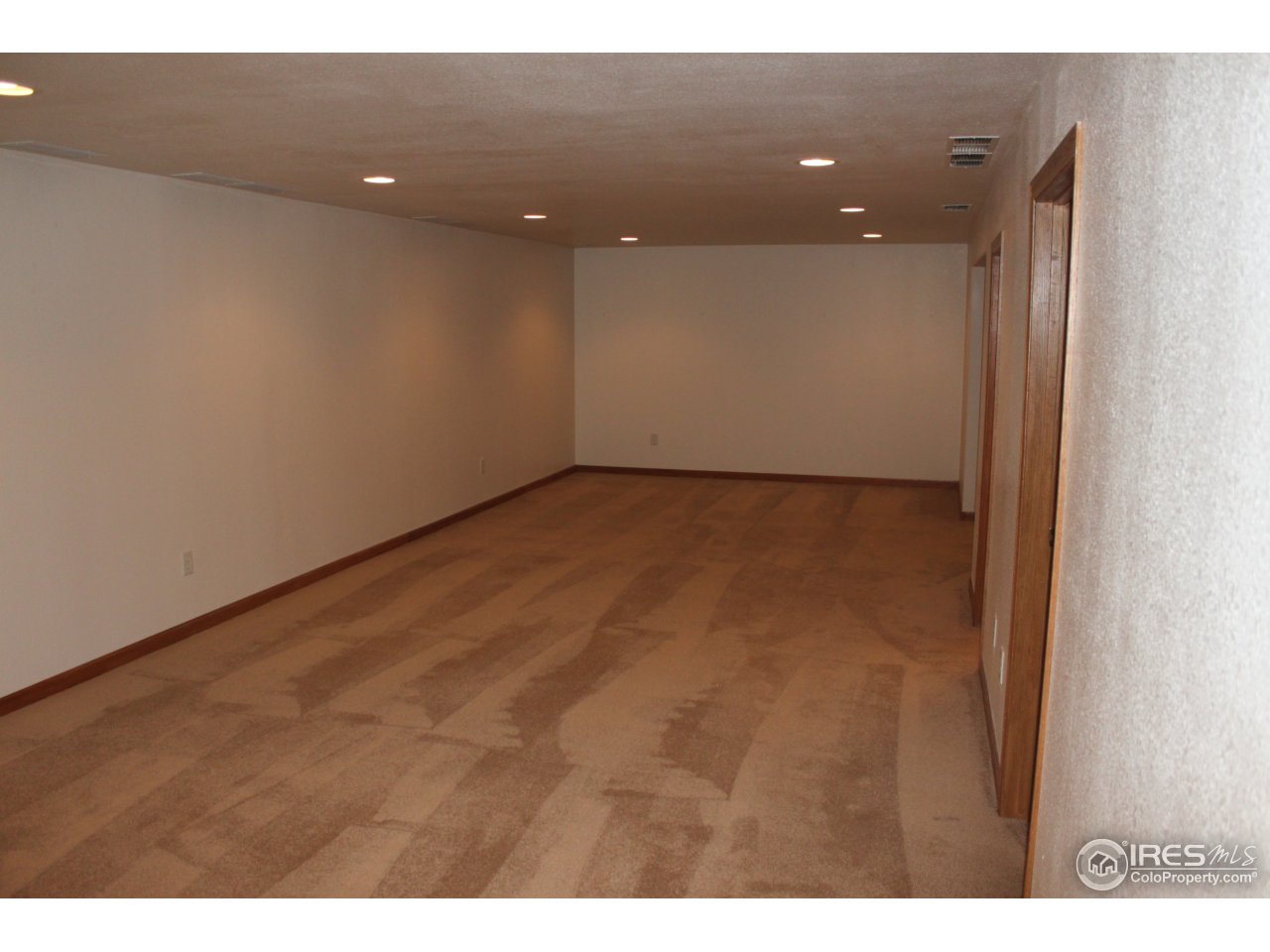 245 Sequoia Circle Windsor, CO 80550 - Photo 6 of 15 a view of an empty room