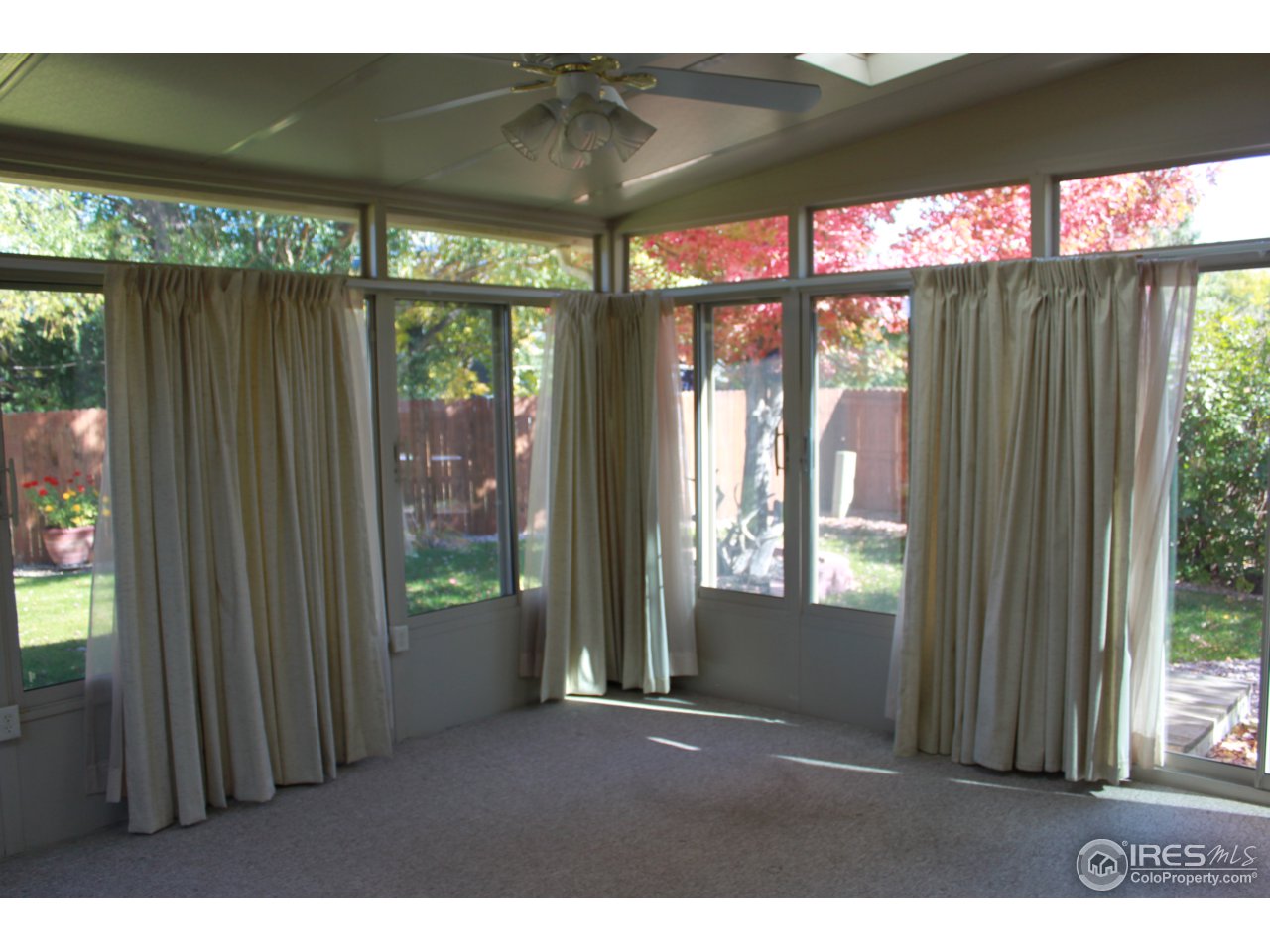 245 Sequoia Circle Windsor, CO 80550 - Photo 8 of 15