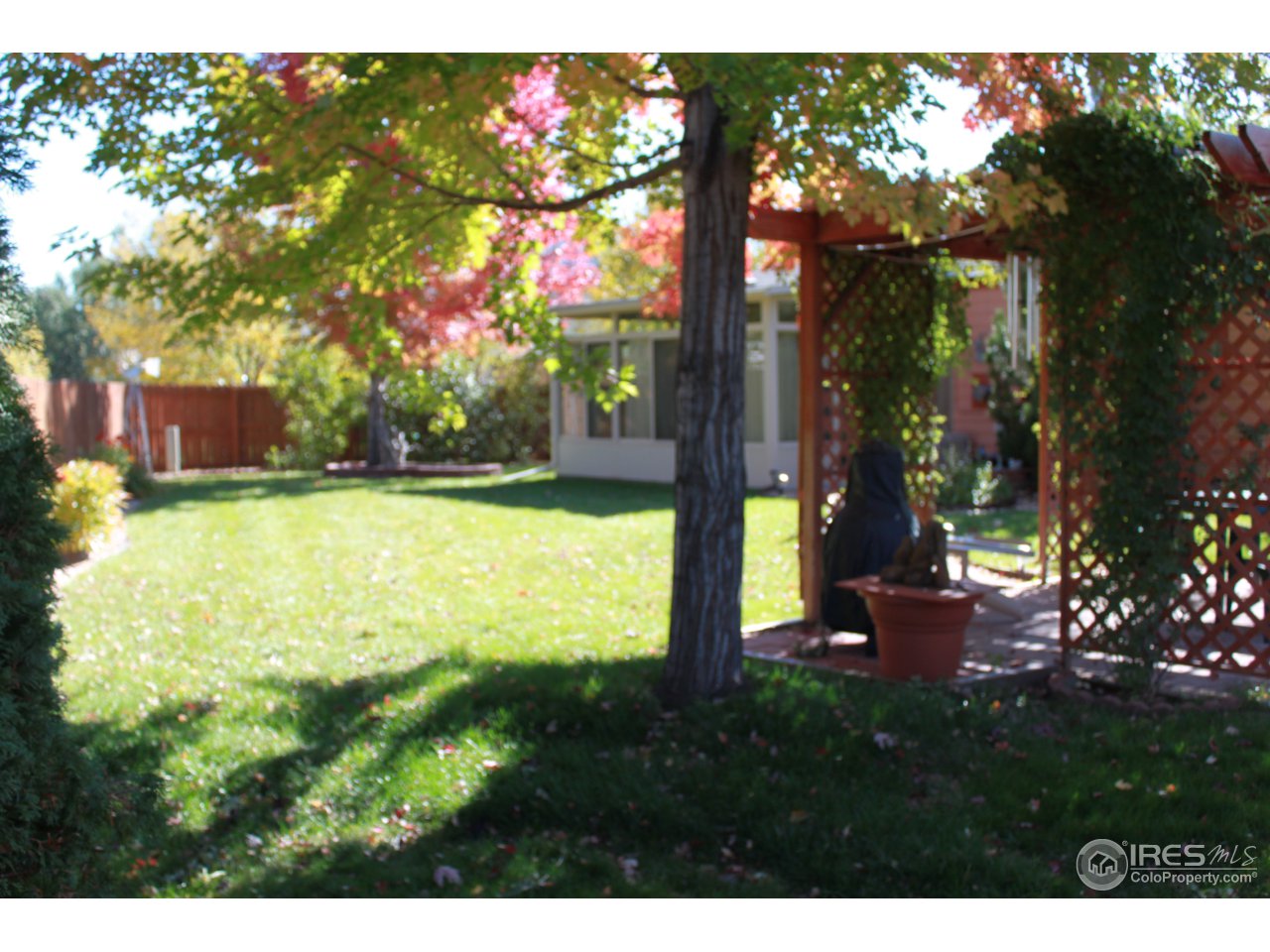 245 Sequoia Circle Windsor, CO 80550 - Photo 10 of 15 a view of a swimming pool and a yard