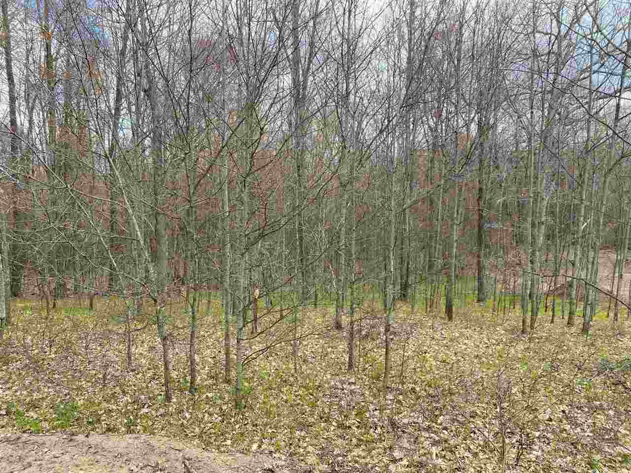 435 East Townline Lake Road Harrison, MI 48625 - Photo 15 of 24