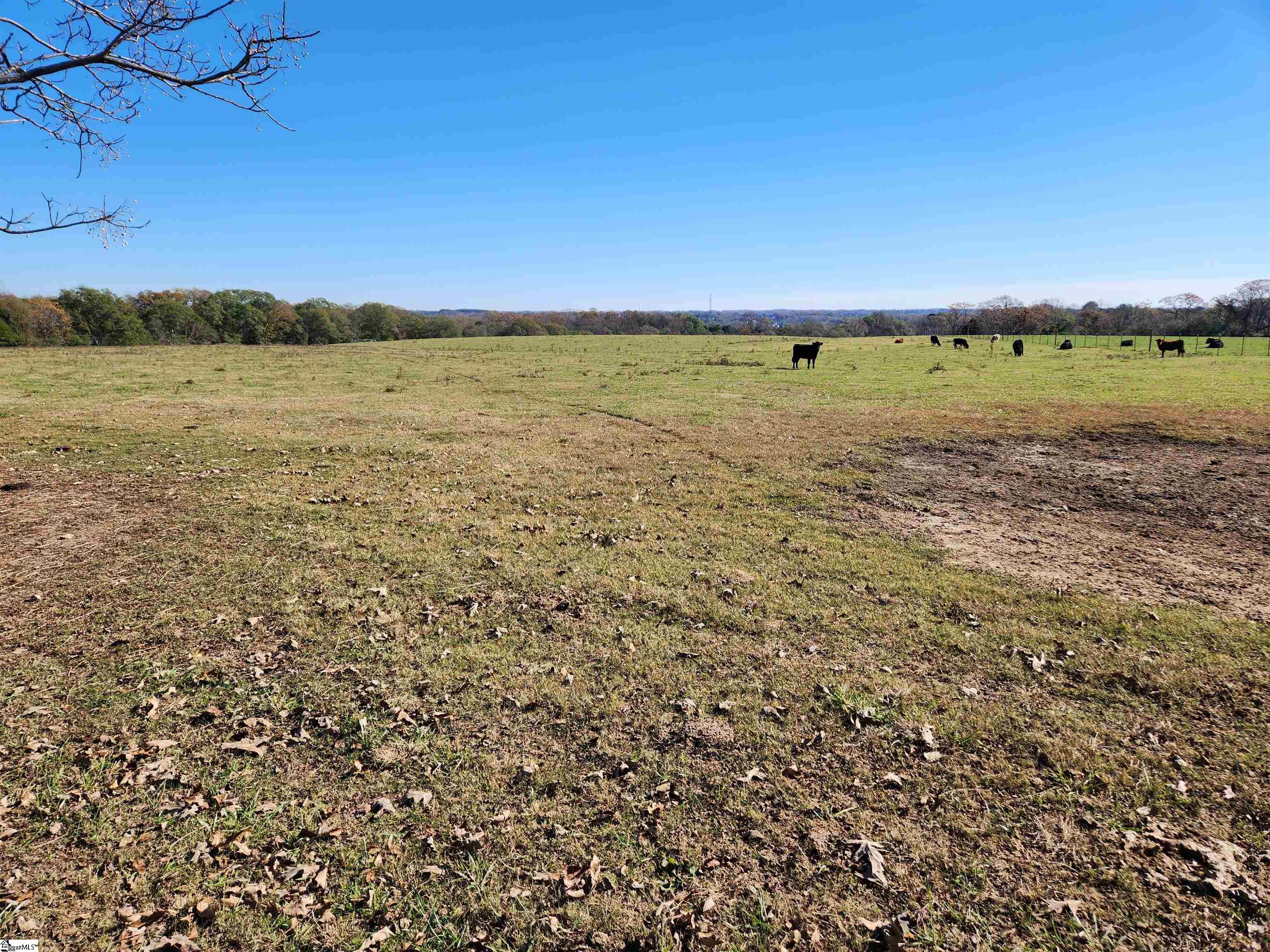 40 Log Shoals Road Piedmont, SC 29673 - Photo 4 of 6 Gallery Image 4