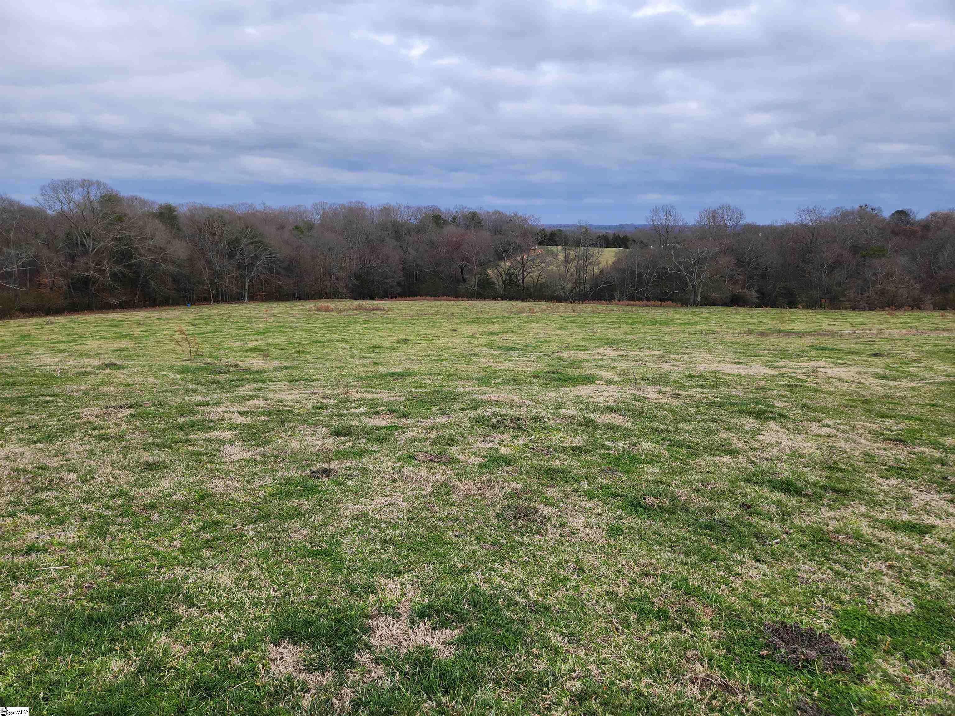 40 Log Shoals Road Piedmont, SC 29673 - Photo 5 of 6 Gallery Image 5