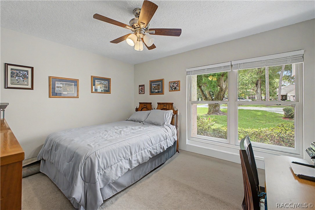 6761 Pearleaf Court Spring Hill, FL 34606 - Photo 21 of 46