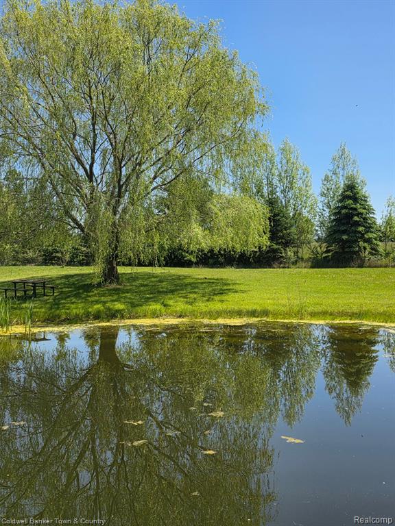 717 North Youngs Road Attica, MI 48412 - Photo 81 of 87