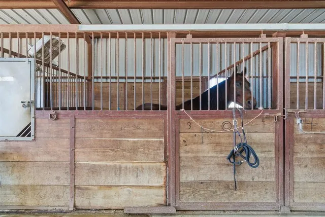 a view of an empty room with wooden ceiling