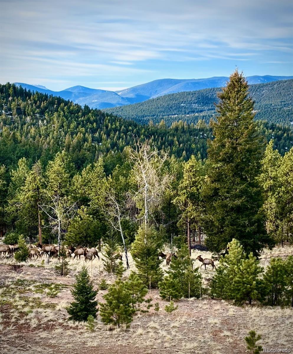 1567 Tapadero Road Bailey, CO 80421 - Photo 21 of 26 a view of a lake with a yard